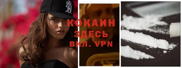 ПСИЛОЦИБИНОВЫЕ ГРИБЫ Костерёво
