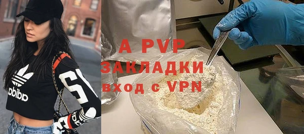 ПСИЛОЦИБИНОВЫЕ ГРИБЫ Костерёво