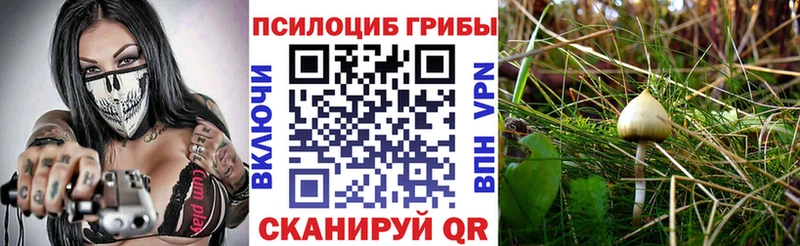Псилоцибиновые грибы GOLDEN TEACHER  Купить закладки  Славянск-на-Кубани 